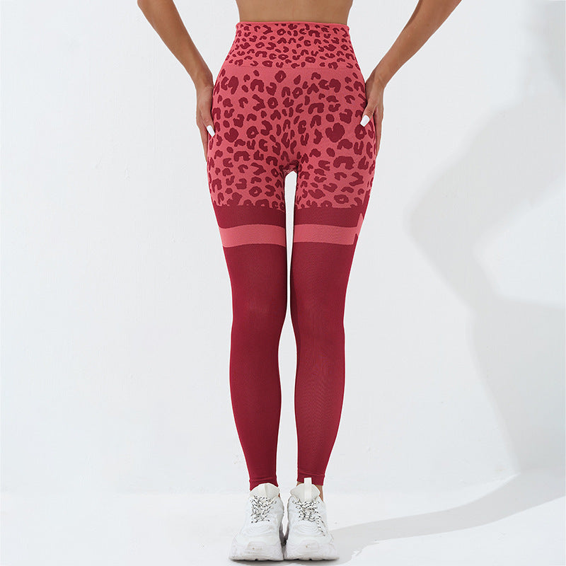 Leopard Seamless Leggings