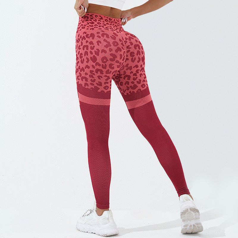 Leopard Seamless Leggings